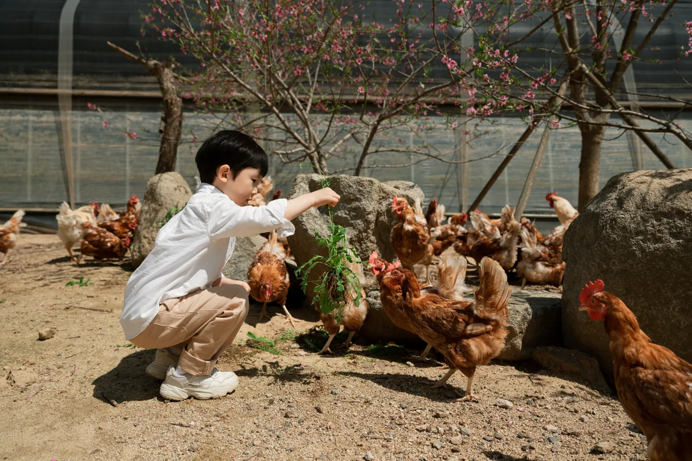 아침에계란 가족의 일상 11