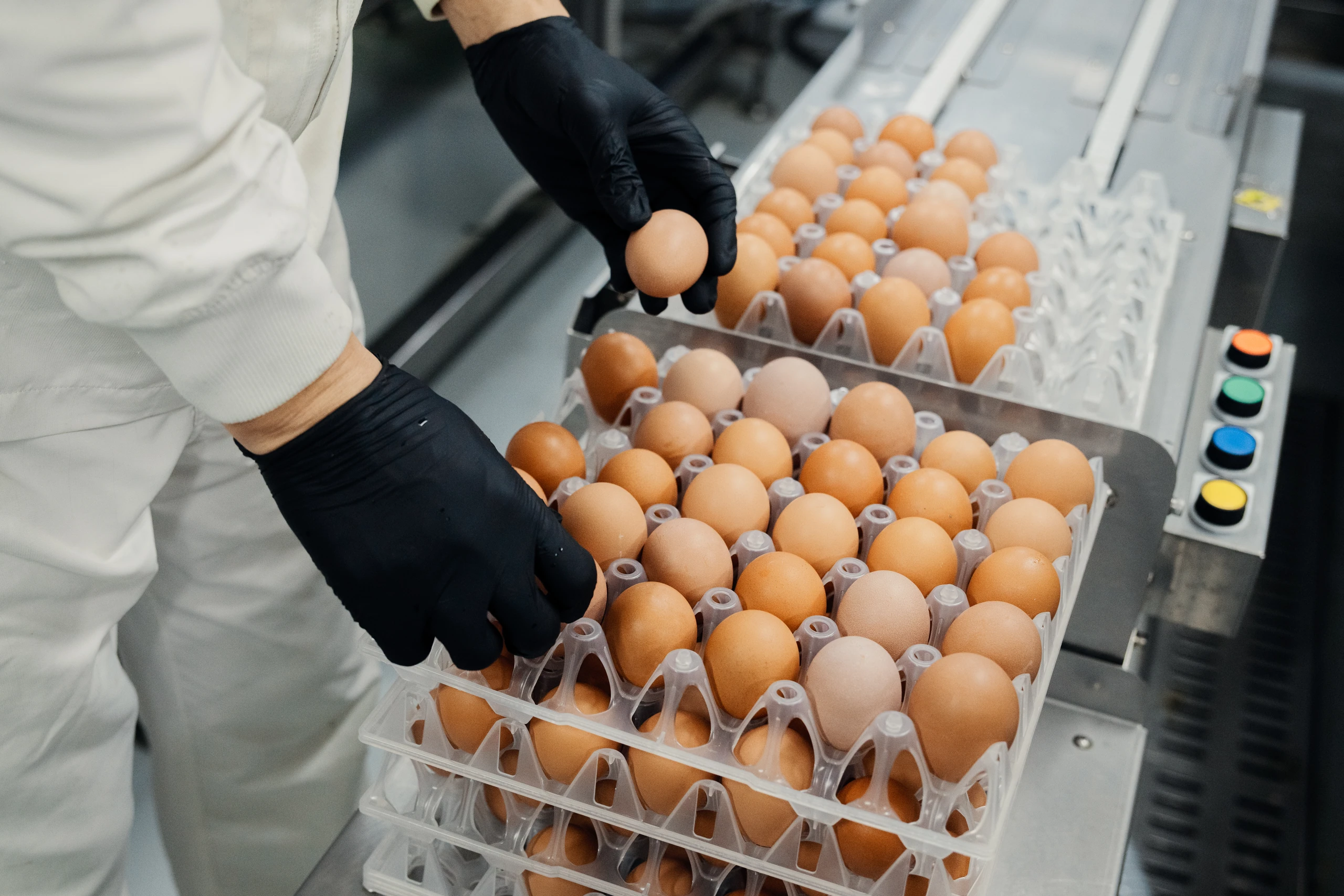 포장 과정 중 디테일